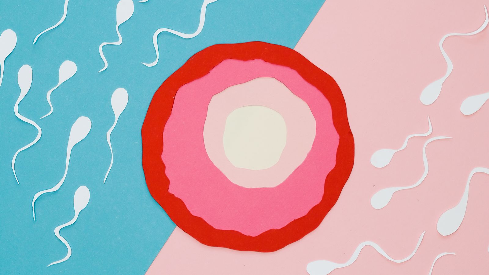 Soft editorial illustration of an ovarian follicle that has not released an egg, in cream and plum tones